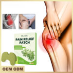 EELHOE Wormwood Pain Relief Patch Relieve Joint Lumbar Spine Cervical Spine Knee Leg Muscles And Bones Pain Health Care Patch